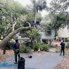 Emergency Storm Damage Tree Removal in Seabrook Island, SC