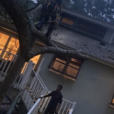 Emergency Storm Damage Tree Removal in Seabrook Island, SC