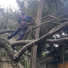 Emergency Storm Damage Tree Removal in Seabrook Island, SC