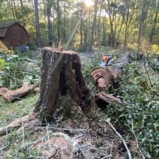 Hazardous Live Oak Removal in Johns Island, SC