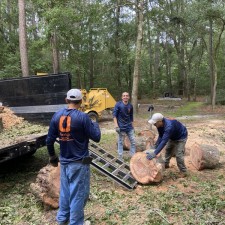 Hazardous Live Oak Removal in Johns Island, SC