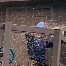 Removal of Pine Trees in Johns Island, SC