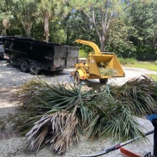 Tree Pruning and Dead Tree Removal in Seabrook Island, SC