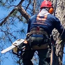 Tree Service and Trimming at Episcopal Church of Our Savior on Johns Island SC
