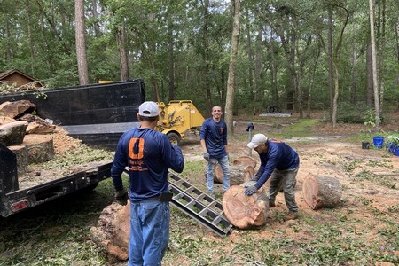 Hazardous Live Oak Removal in Johns Island, SC