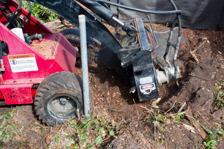 Stump Grinding