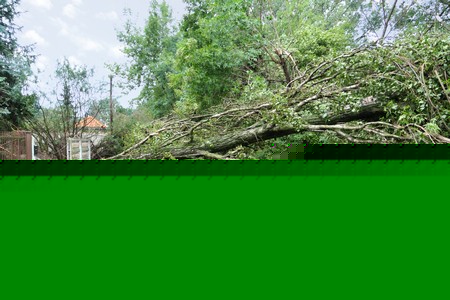 Debris Removal