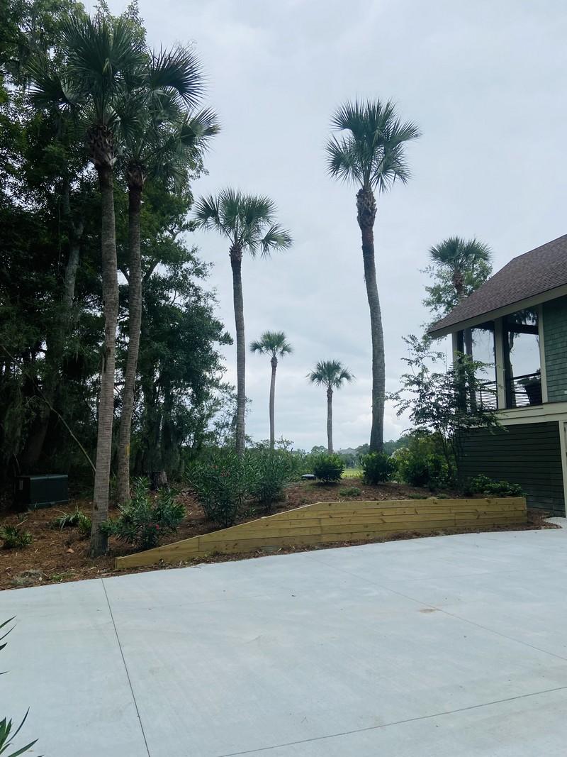 Tree Removal and Pruning in Seabrook Island, SC